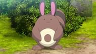 Sentret (Image via The Pokemon Company)